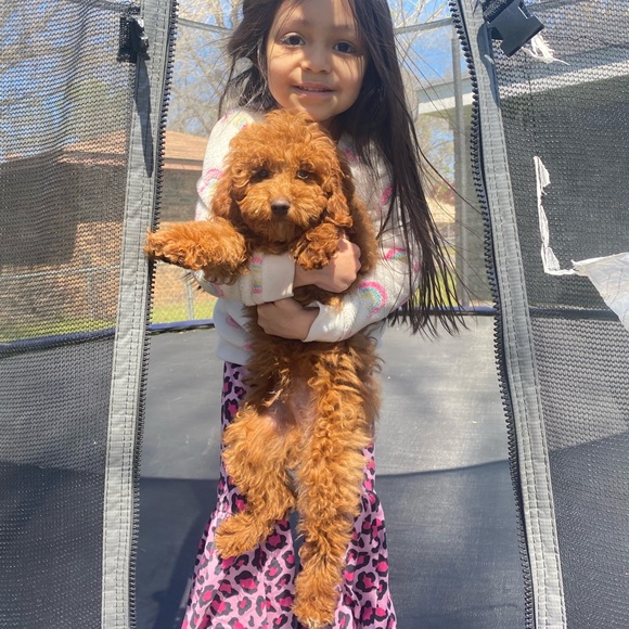 Meet Your Posher - Picture 5 of 6